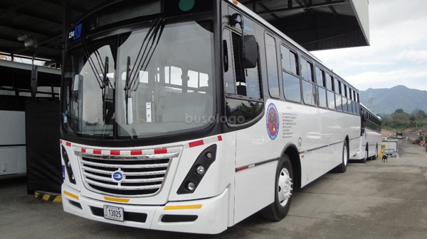 SJB13025 Ayco Sigma Blue Bird D3FE Coesa 